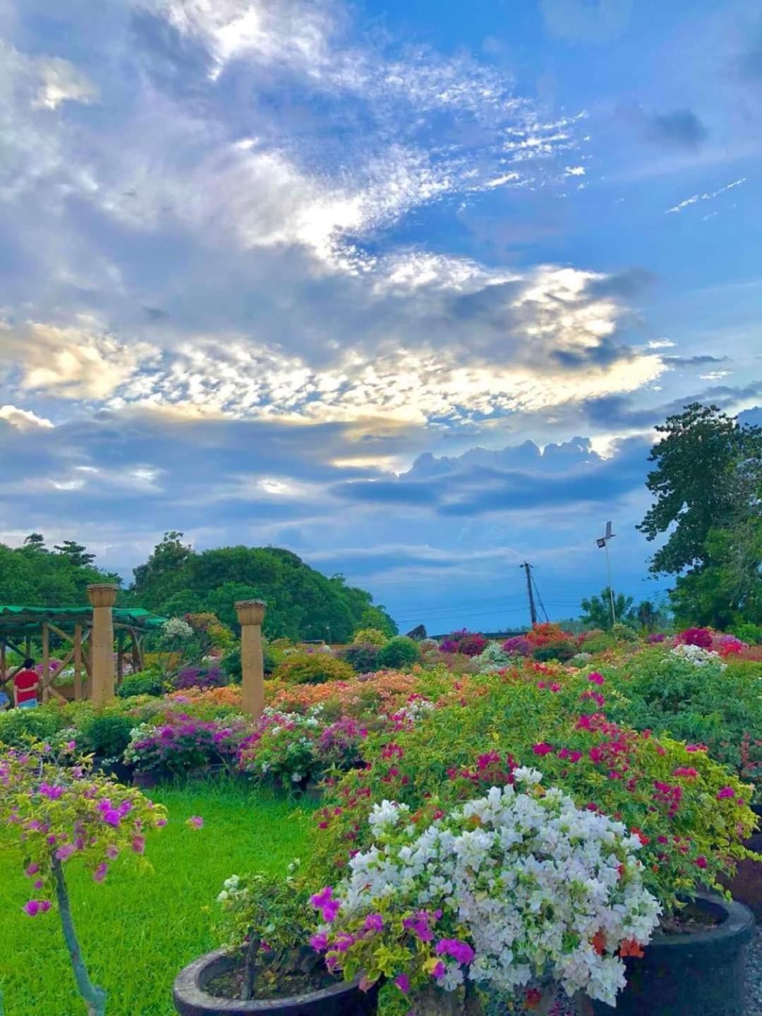 Beach Resorts Walking Distance To The Town House Davao Stadt Exterior foto